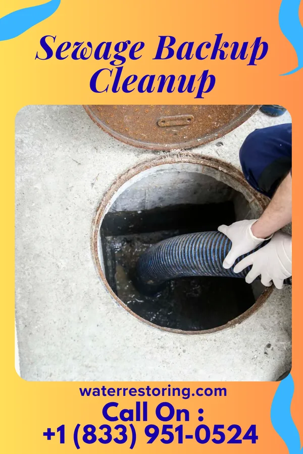 Sewage Backup Cleanup in Bigelow, MO