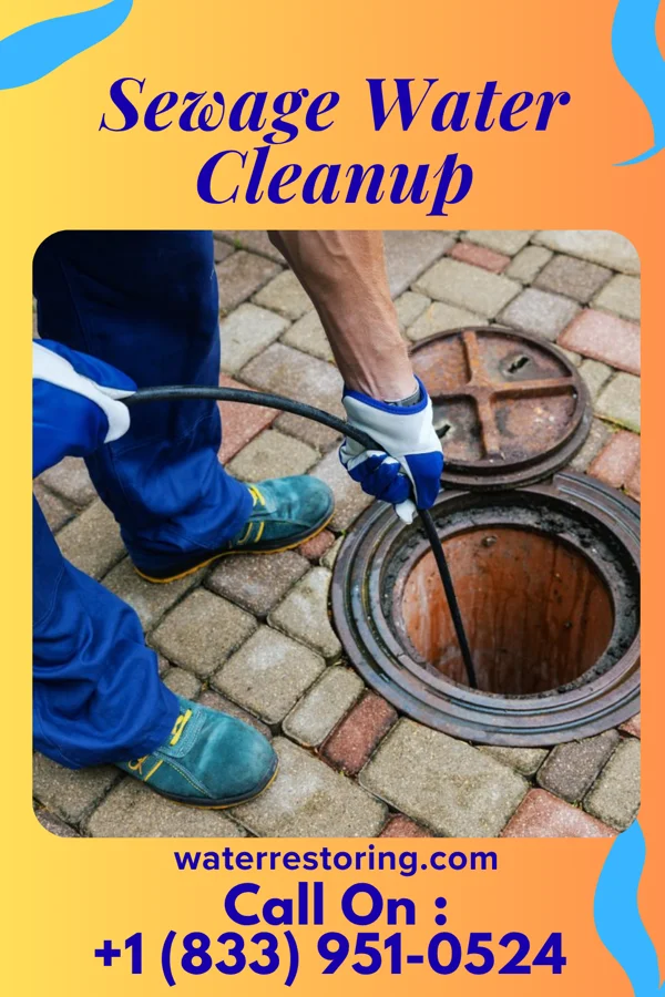 Sewage Water Cleanup in Bigelow, MO